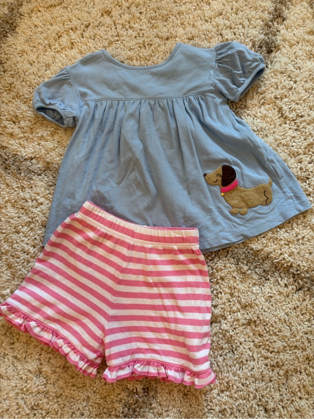 LUIGI- Puppy Matching Set